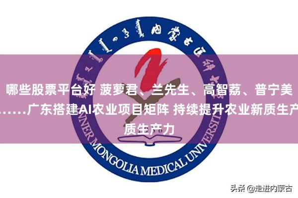 哪些股票平台好 菠萝君、兰先生、高智荔、普宁美梅……广东搭建AI农业项目矩阵 持续提升农业新质生产力