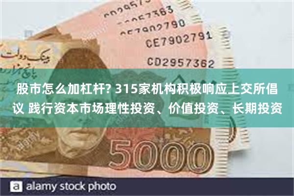 股市怎么加杠杆? 315家机构积极响应上交所倡议 践行资本市场理性投资、价值投资、长期投资