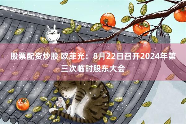 股票配资炒股 欧菲光：8月22日召开2024年第三次临时股东大会