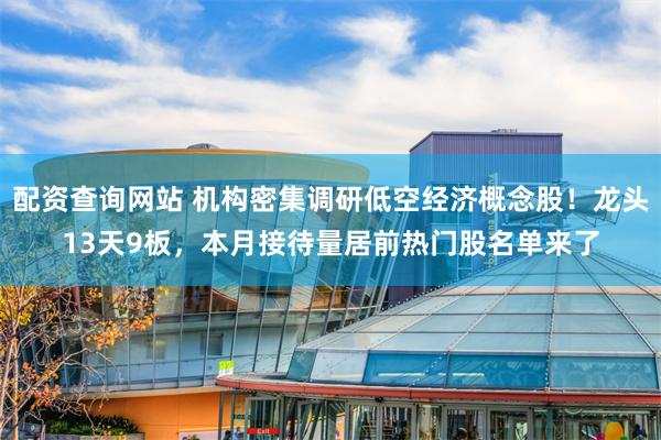 配资查询网站 机构密集调研低空经济概念股！龙头13天9板，本月接待量居前热门股名单来了