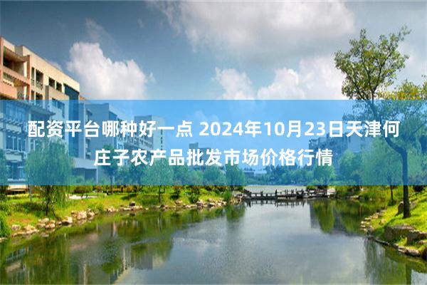 配资平台哪种好一点 2024年10月23日天津何庄子农产品批发市场价格行情