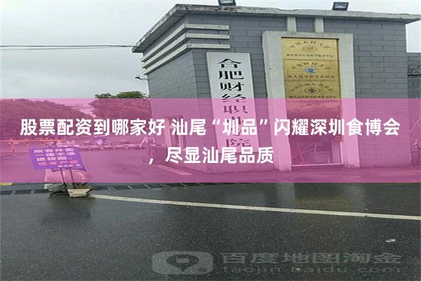 股票配资到哪家好 汕尾“圳品”闪耀深圳食博会，尽显汕尾品质