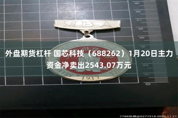 外盘期货杠杆 国芯科技（688262）1月20日主力资金净卖出2543.07万元