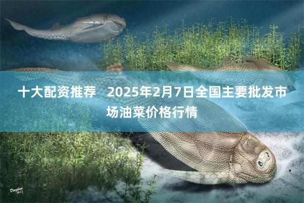 十大配资推荐   2025年2月7日全国主要批发市场油菜价格行情