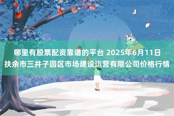 哪里有股票配资靠谱的平台 2025年6月11日扶余市三井子园区市场建设运营有限公司价格行情